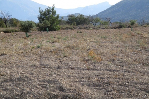 parcela in Relleu