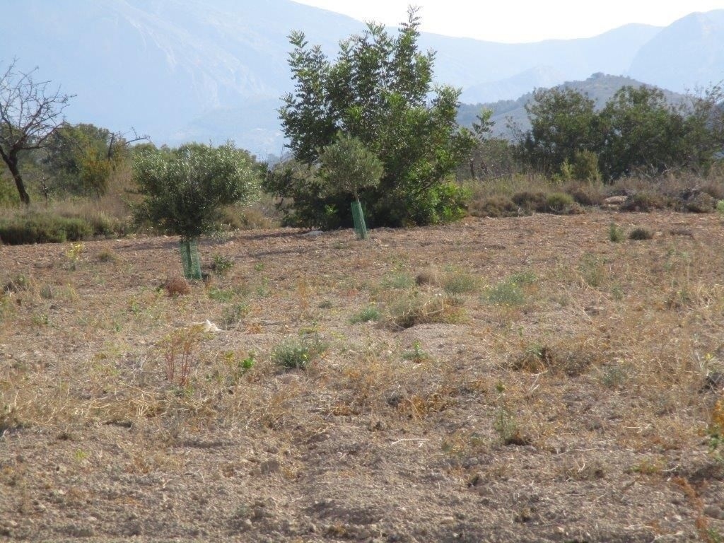 parcela in Relleu