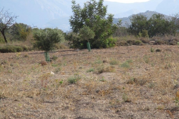 parcela in Relleu