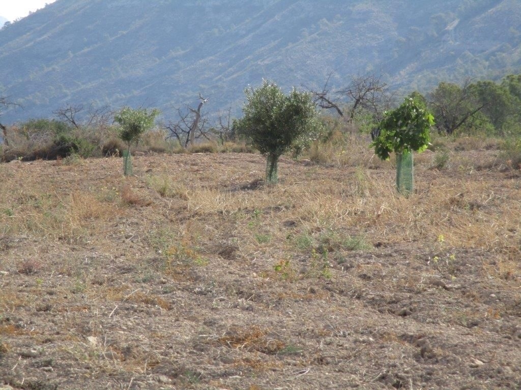 parcela in Relleu