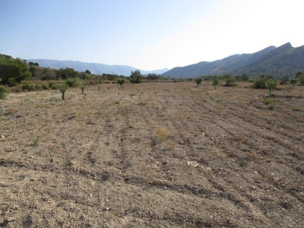 parcela in Relleu
