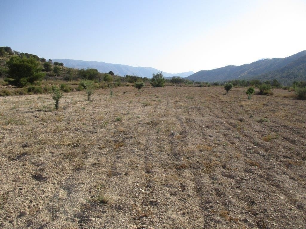 parcela in Relleu