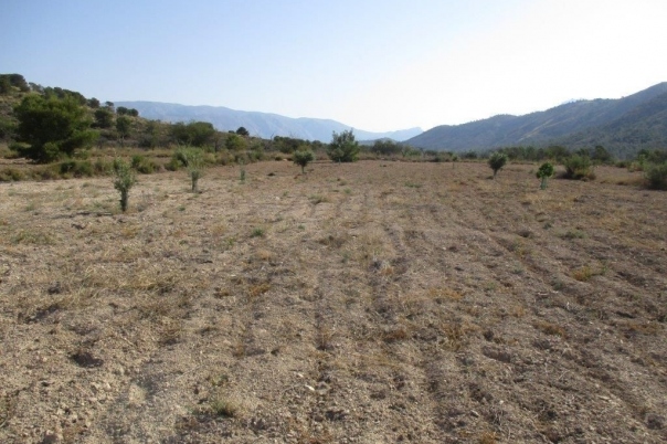 parcela in Relleu