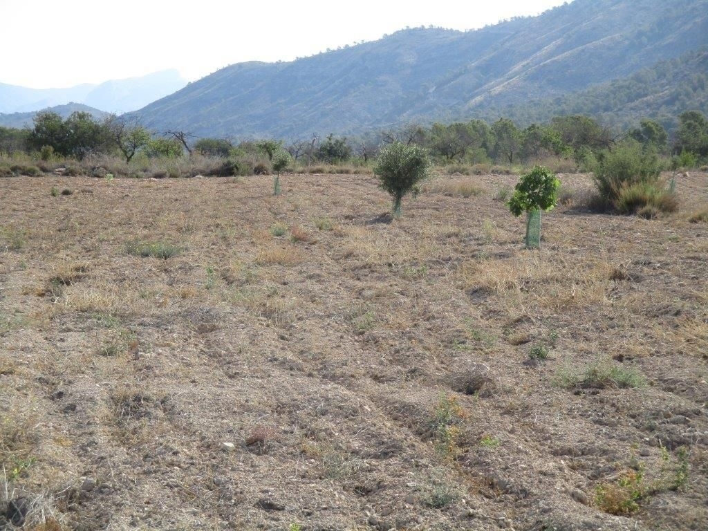 parcela in Relleu