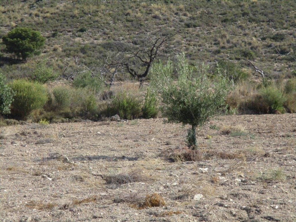parcela in Relleu