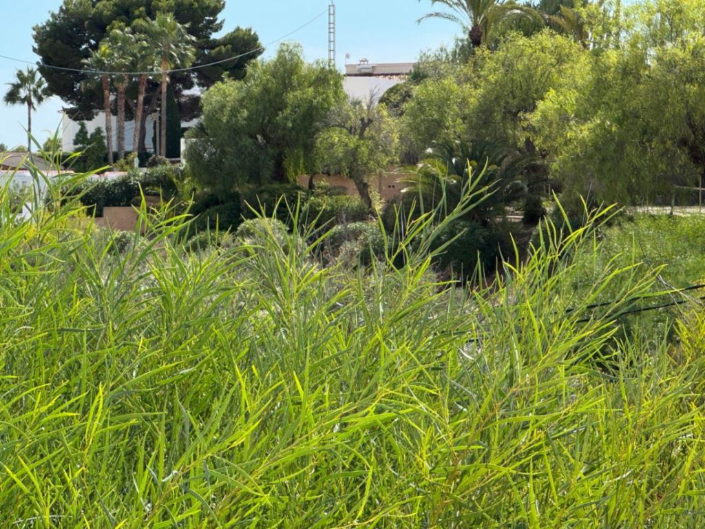 2 bed bungalow in Moraira