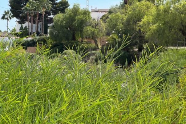 2 bed bungalow in Moraira