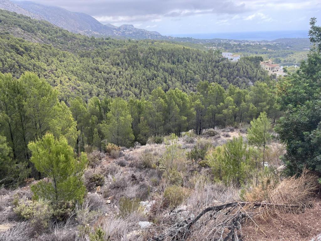plot in Altea