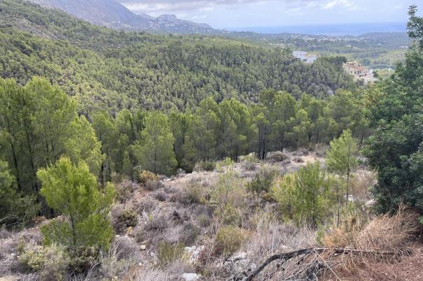 plot in Altea