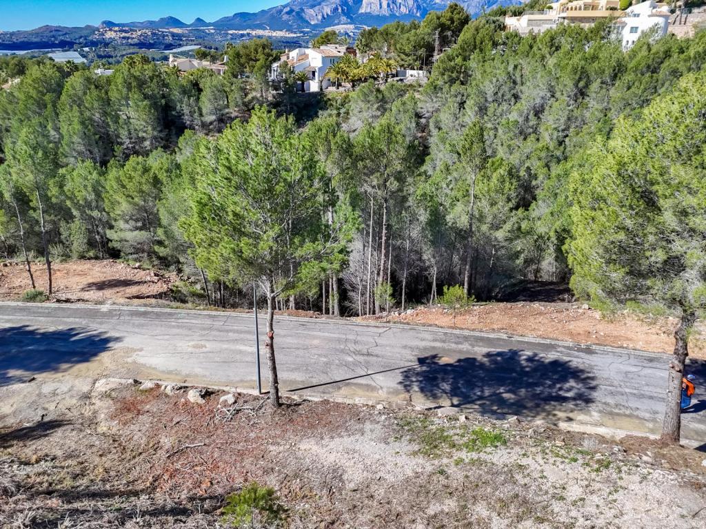 plot in Altea