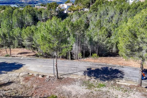plot in Altea