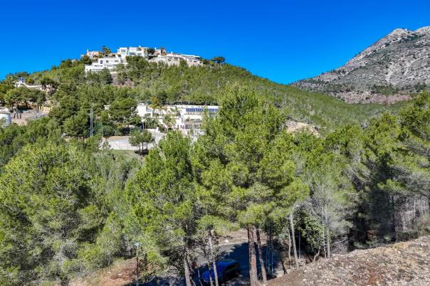 plot in Altea