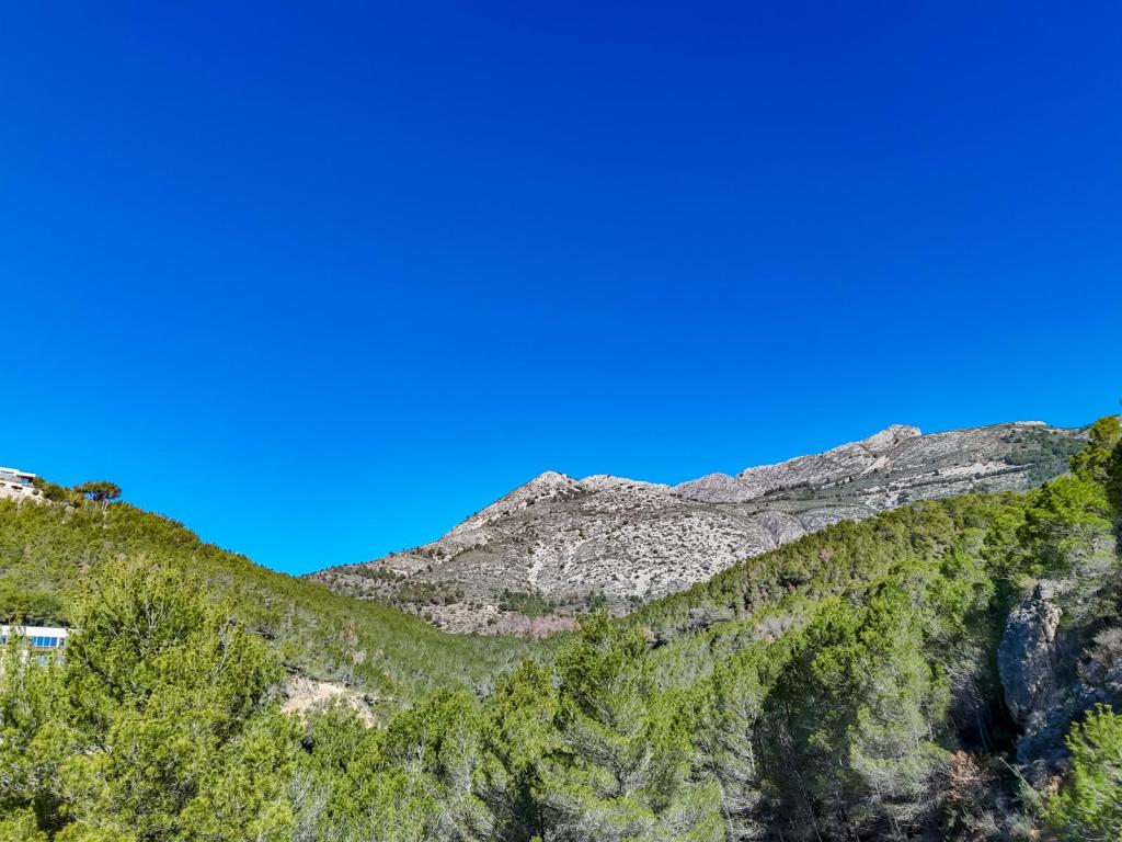 plot in Altea