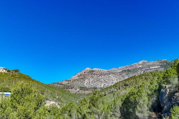 plot in Altea
