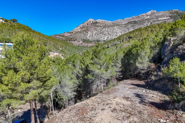 plot in Altea