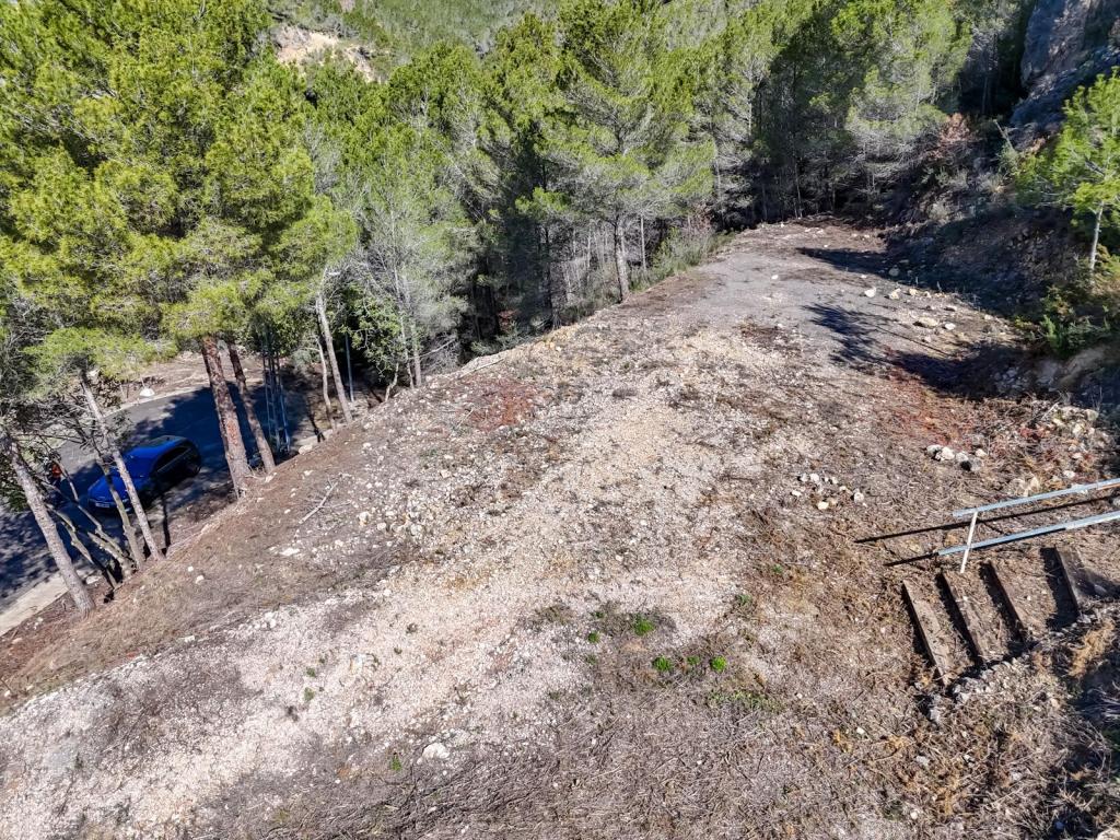 plot in Altea