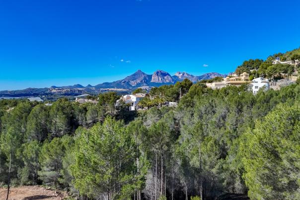 plot in Altea