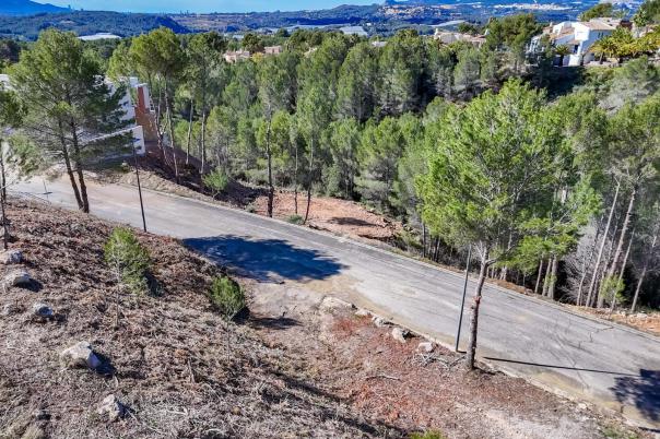 plot in Altea