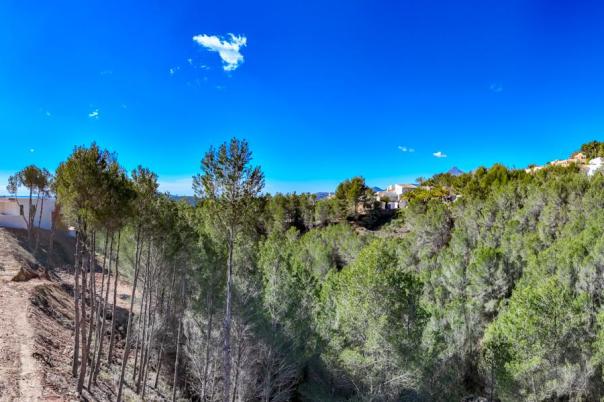 plot in Altea