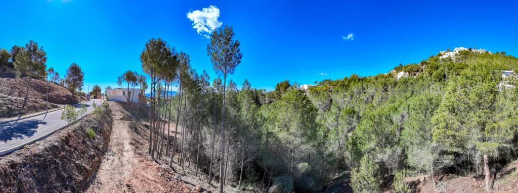 plot in Altea