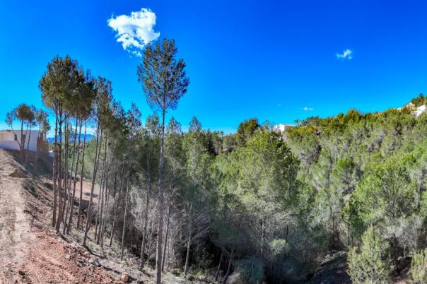 plot in Altea