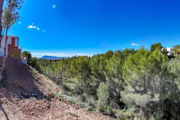 plot in Altea
