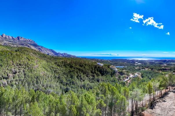 plot in Altea