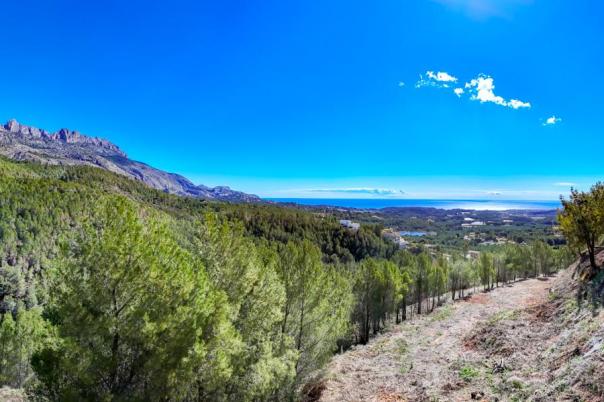 plot in Altea