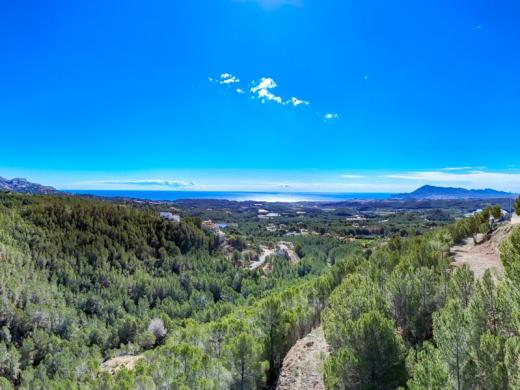 plot in Altea