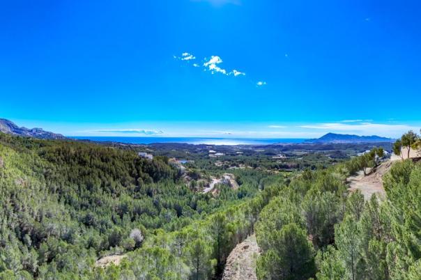 plot in Altea