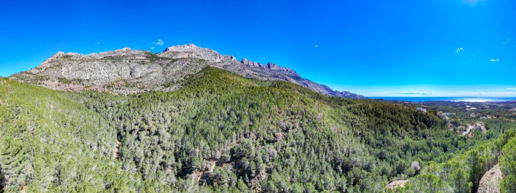 plot in Altea