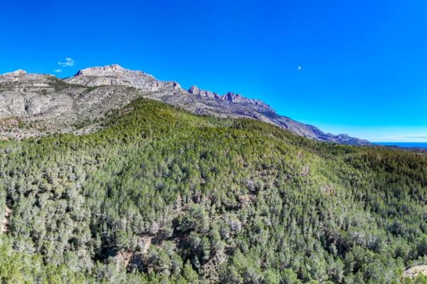 plot in Altea