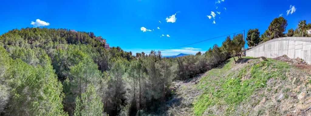 plot in Altea