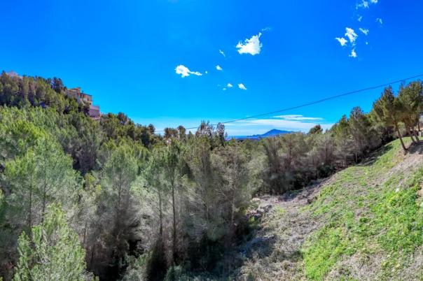 plot in Altea