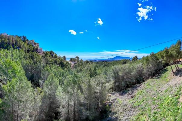 plot in Altea