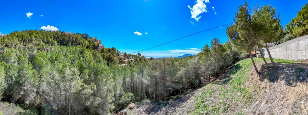 plot in Altea