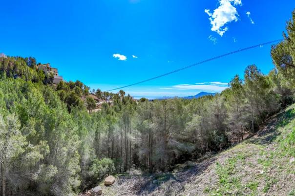 plot in Altea