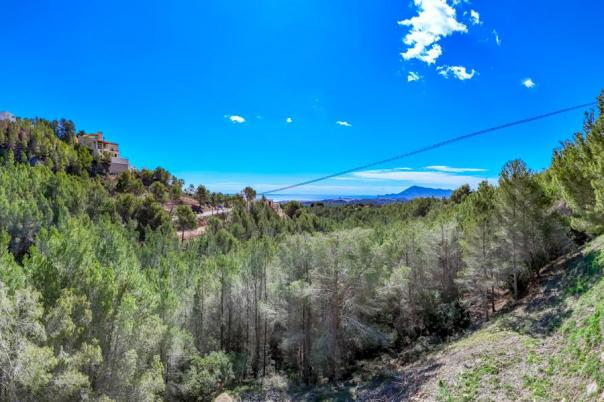 plot in Altea
