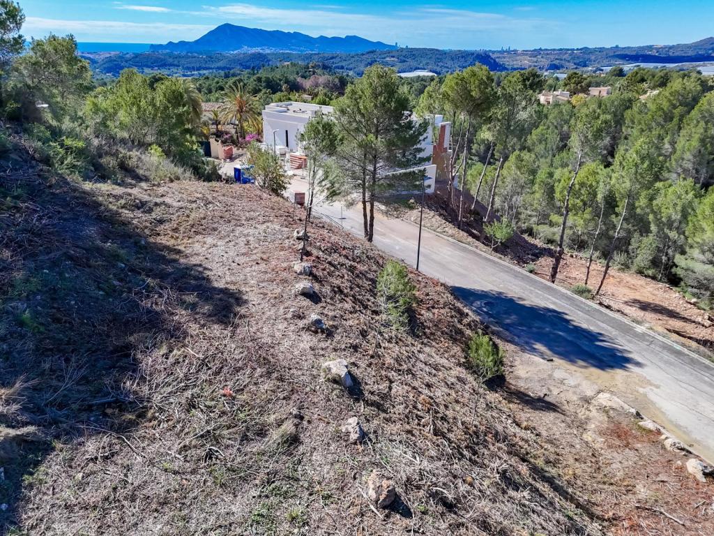 plot in Altea