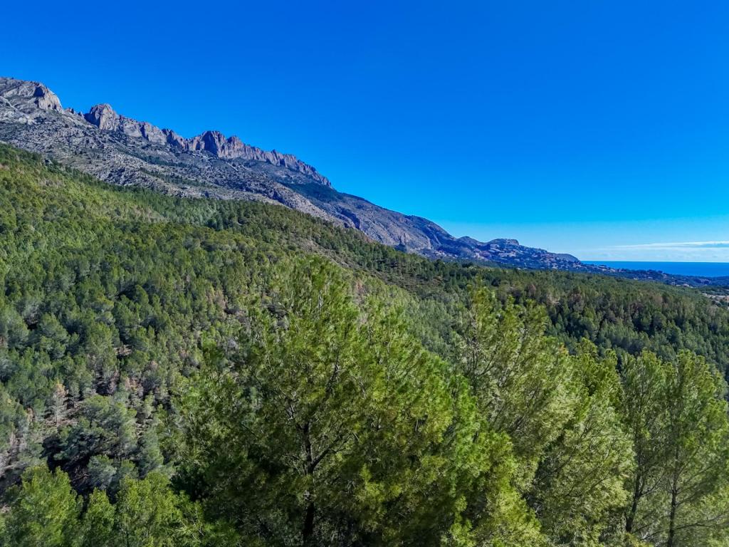 plot in Altea