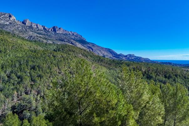plot in Altea