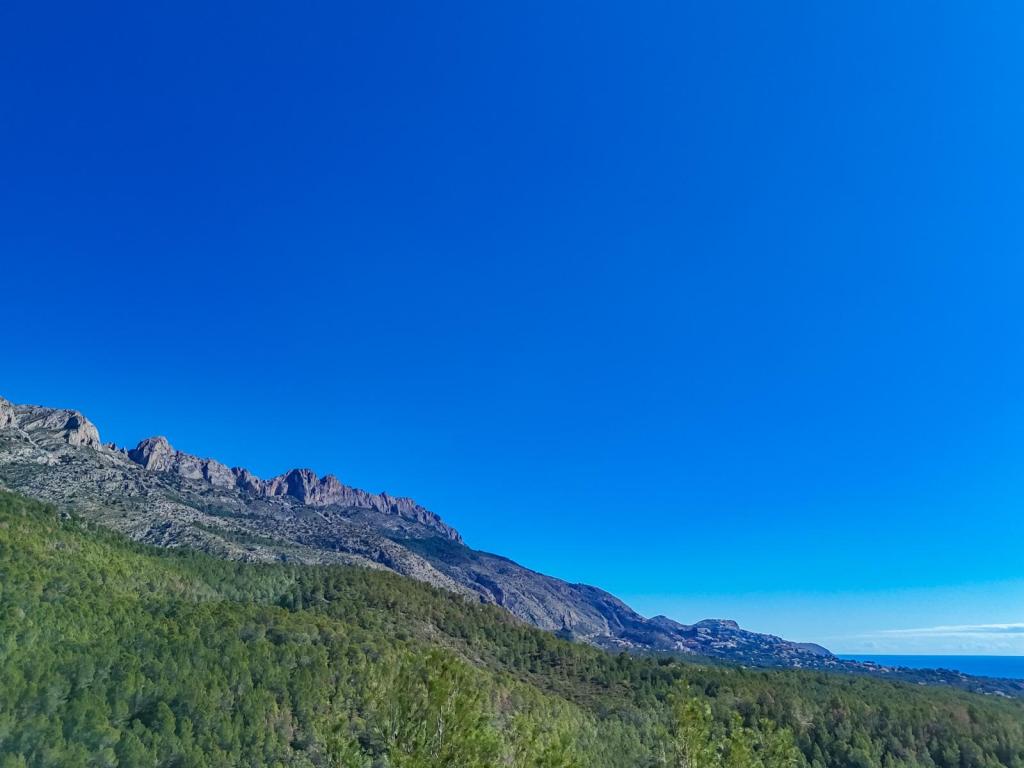 plot in Altea
