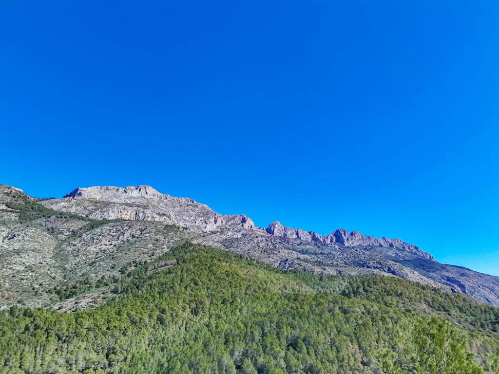 plot in Altea