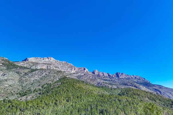 plot in Altea