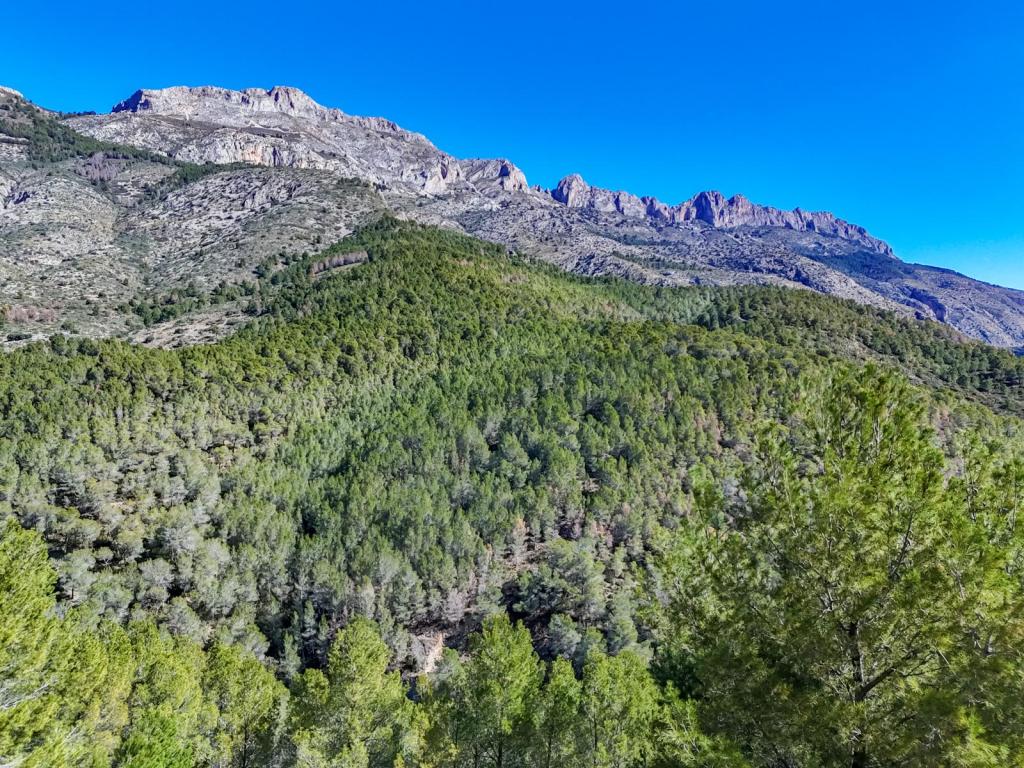 plot in Altea