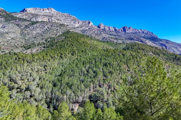 plot in Altea