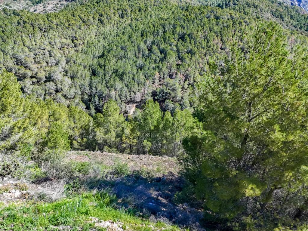 plot in Altea