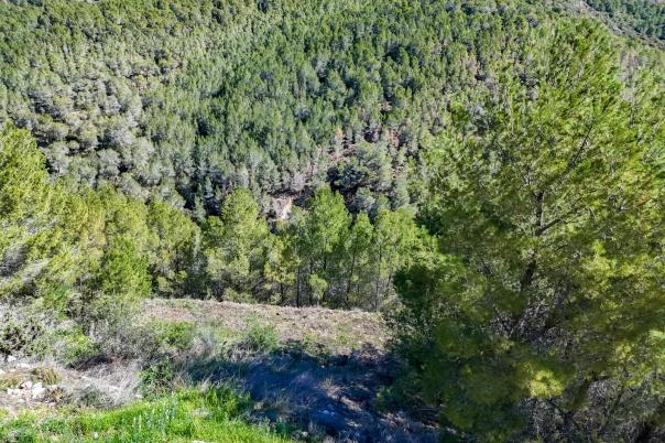plot in Altea