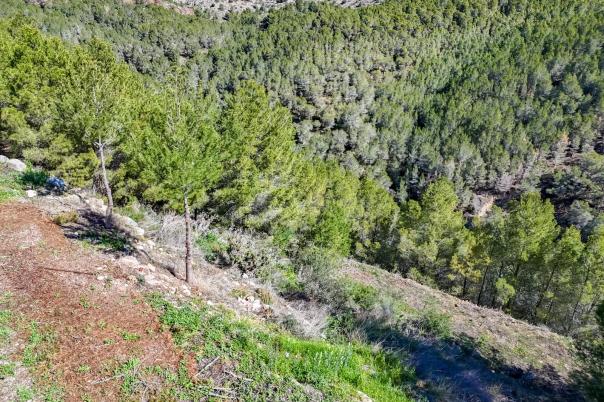 plot in Altea