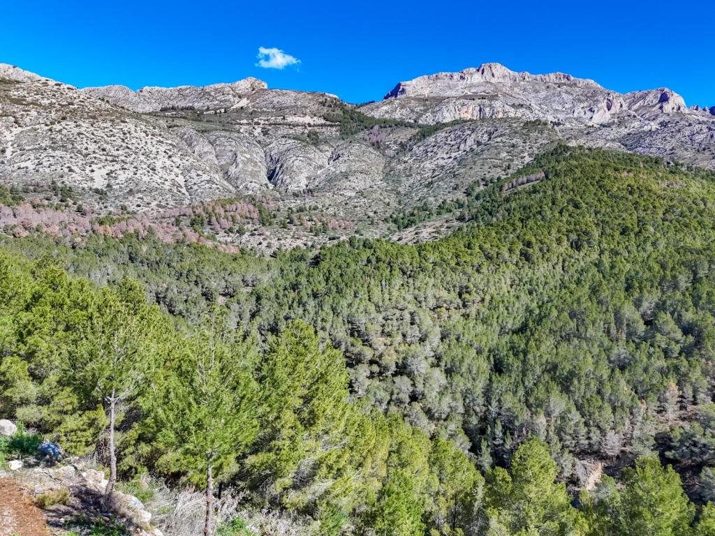 plot in Altea